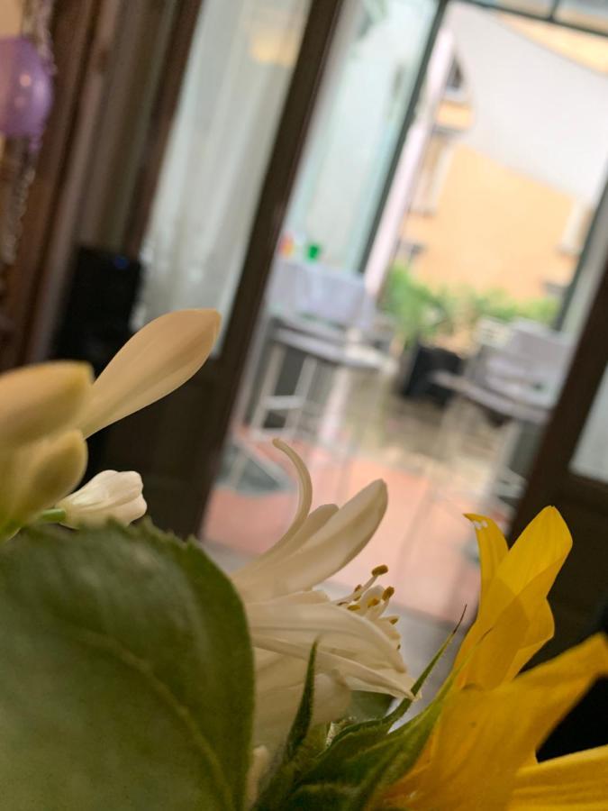 Bed and Breakfast Le 5 Vie Бергамо Экстерьер фото